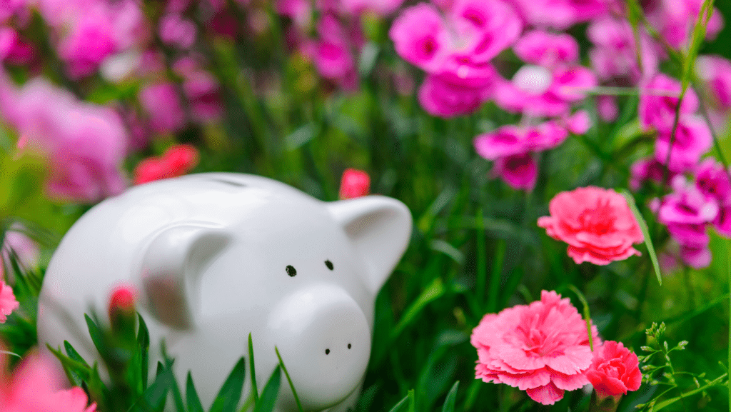 Senior Discount Playbook Savings
